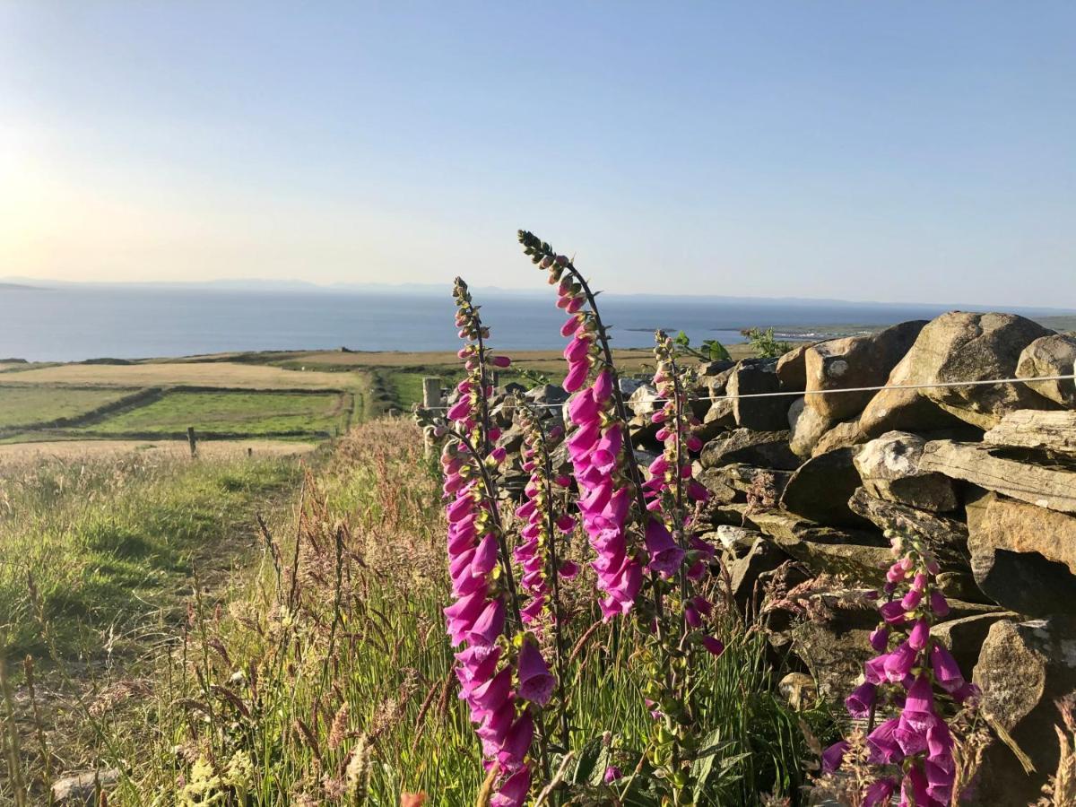 Ocean View Guestrooms Doolin Buitenkant foto