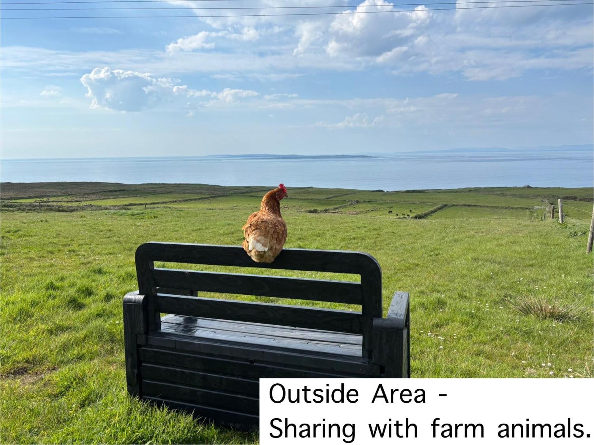 Ocean View Guestrooms Doolin Buitenkant foto